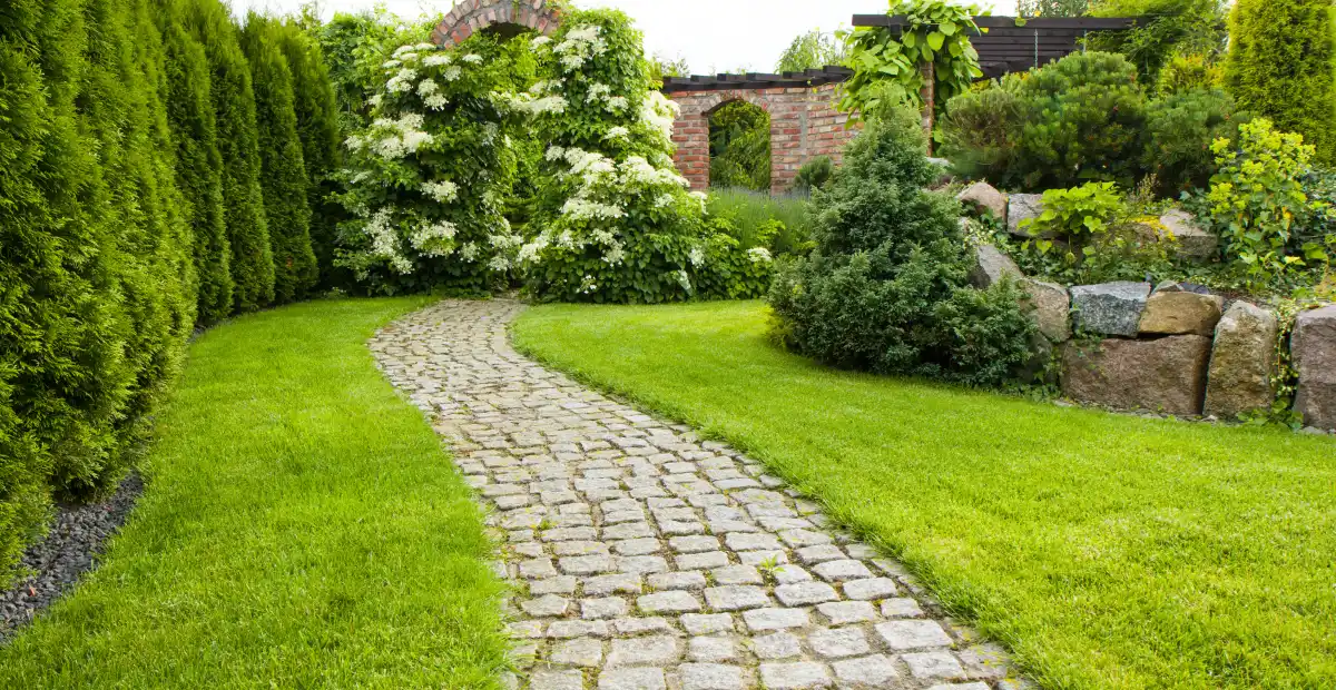 RATTEL PAYSAGISTE