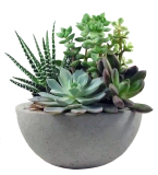 Rattel Paysagiste Paysagiste Orleans Jardin 4