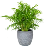 Rattel Paysagiste Paysagiste Orleans Jardin 6